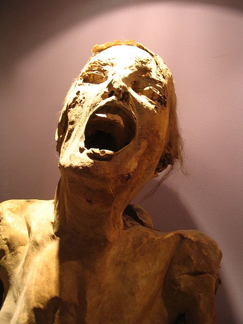 The Museum of The Mummies