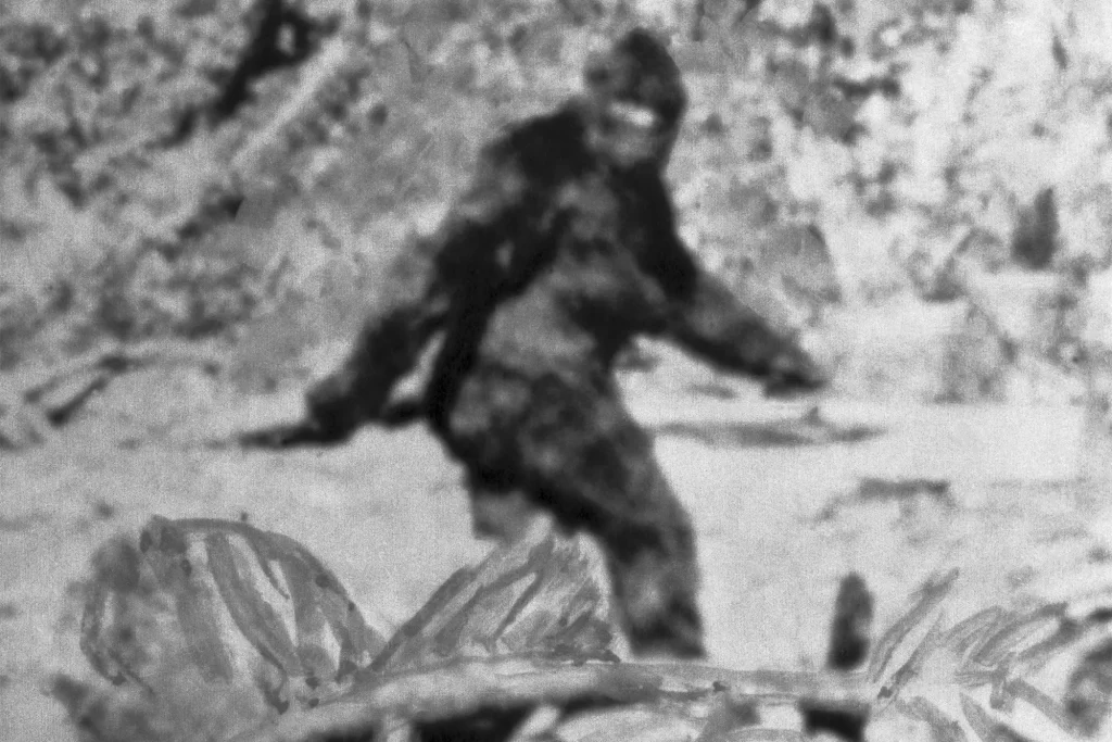 The Bigfoot Murder